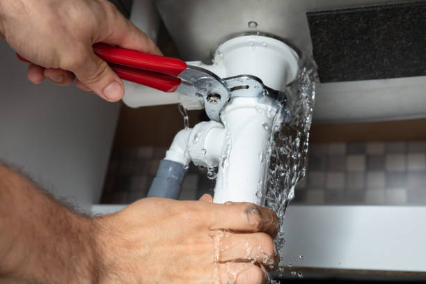 Best Fire Damage Restoration  in Brock Hall, MD