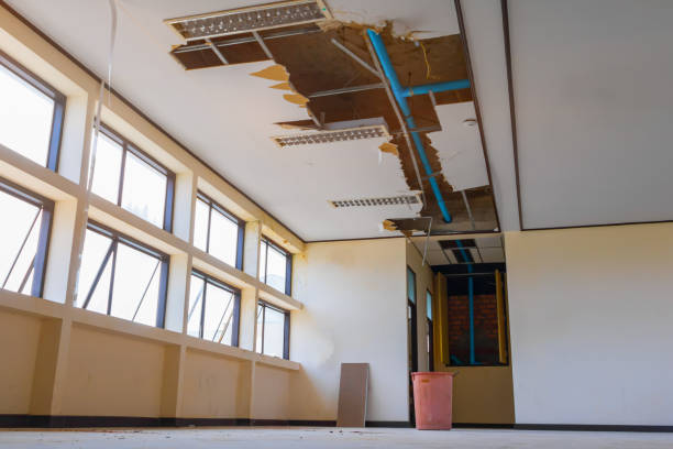 Best Professional water damage repair  in Brock Hall, MD