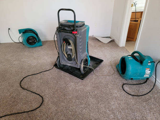 Best Professional water damage repair  in Brock Hall, MD