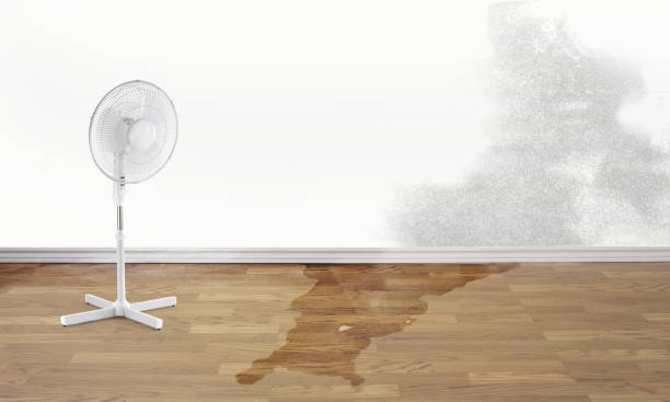 Best Emergency water damage restoration  in Brock Hall, MD