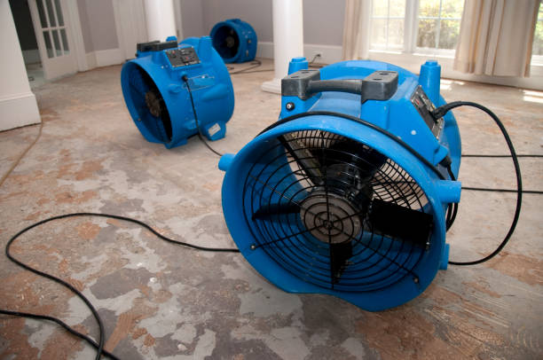 Best Water damage restoration near me  in Brock Hall, MD