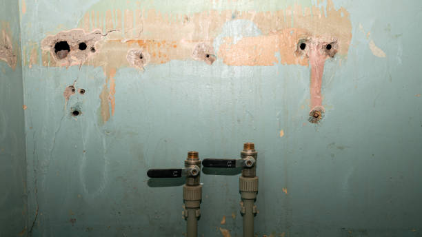Best Fire Damage Restoration  in Brock Hall, MD