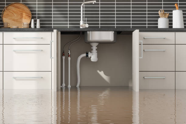 Best Flood damage cleanup  in Brock Hall, MD