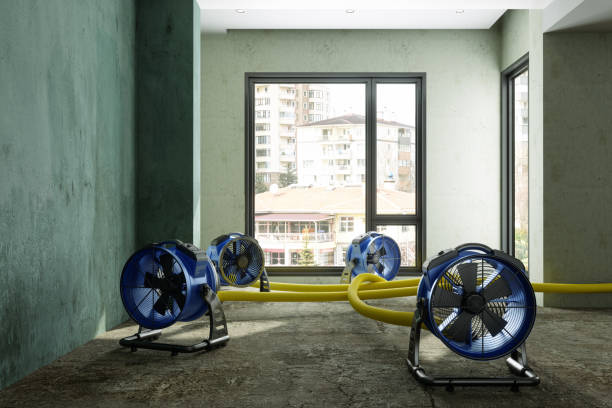 Best Local water damage restoration  in Brock Hall, MD