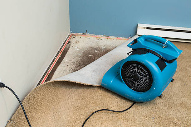 Best Fire Damage Restoration  in Brock Hall, MD